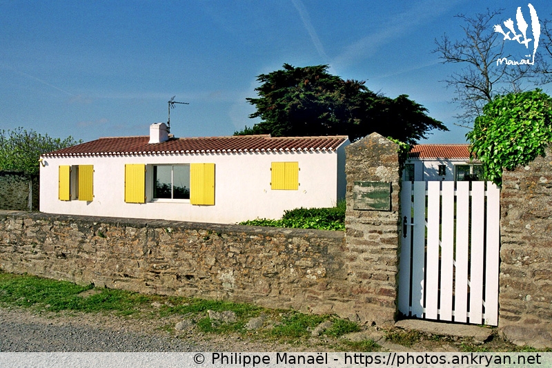 Habitation insulaire (Ile d'Yeu / Ile / France / Pays-de-la-Loire - FR-85) © Philippe Manaël