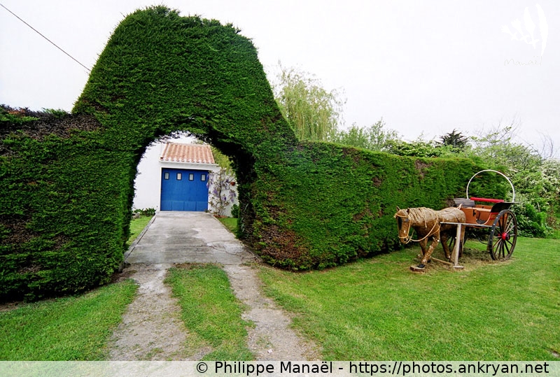 Maison paysager de la Meule (Ile d'Yeu / Ile / France / Pays-de-la-Loire - FR-85) © Philippe Manaël