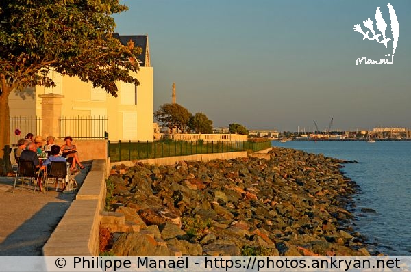 Baie de Port Neuf (La Rochelle / Ville / France / Poitou-Charentes - FR-17) © Philippe Manaël
