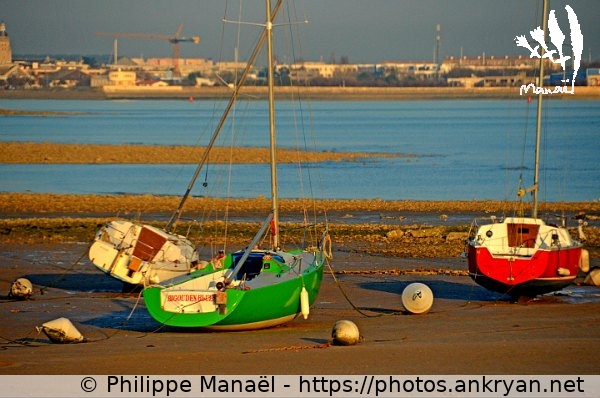 Bateaux au Port-Neuf (La Rochelle / Ville / France / Poitou-Charentes - FR-17) © Philippe Manaël