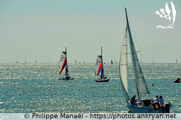 Front de mer (La Rochelle / Ville / France / Poitou-Charentes - FR-17) © Philippe Manaël