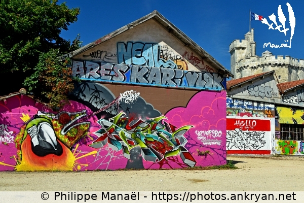 Graffiti du Gabut, perroquet (La Rochelle / Ville / France / Poitou-Charentes - FR-17) © Philippe Manaël