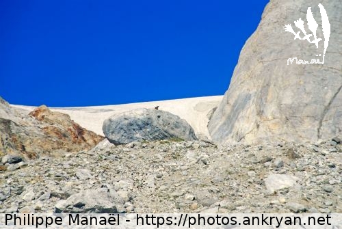 Moraines, glacier d'Ossoue (Vignemale, seigneur des Pyrénées / Trekking / France / Midi-Pyrénées - FR-65) © Philippe Manaël