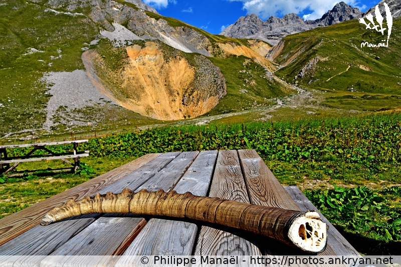 Corne de bouquetin, Refuge du Saut (Les Balcons de la Vanoise / Trekking / France / Savoie - FR-73) © Philippe Manaël