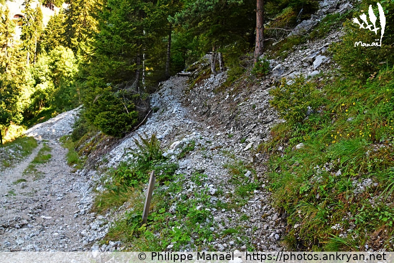 Éboulis piste forestière, Forêt Noire Champagny (Les Hauts de la Vanoise / Trekking / France / Savoie - FR-73) © Philippe Manaël