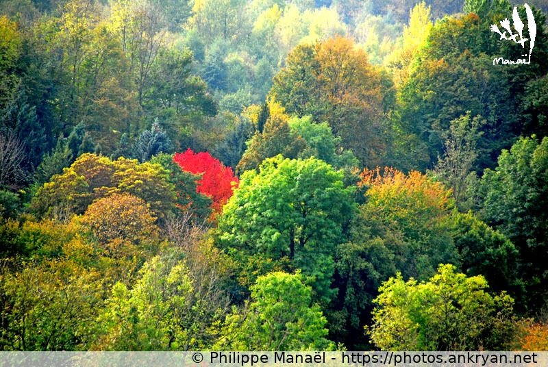 Couleurs d'automne à Ossen (Les Pyrénées, en route pour les étoiles / Trekking / France / Hautes-Pyrénées - FR-65) © Philippe Manaël