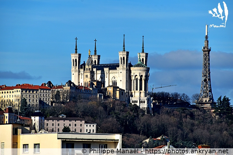 Notre-Dame de Fourvière et Tour métallique (Lyon / Ville / France / Rhône-Alpes - FR-69) © Philippe Manaël