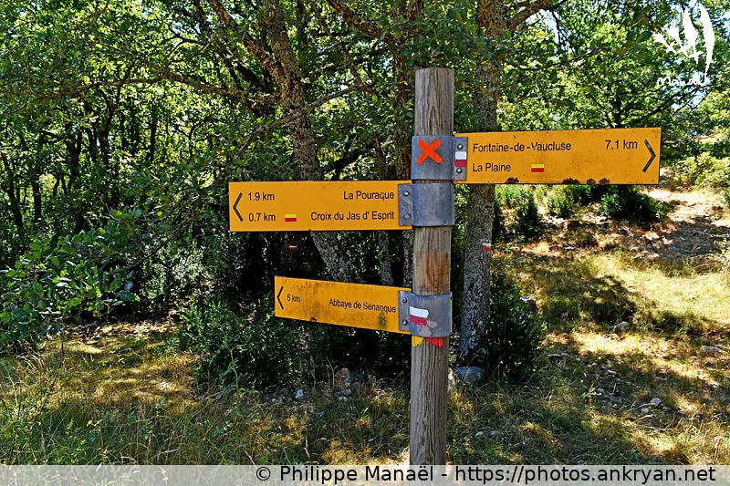 Croix de Pouracon, Plateau de Vaucluse (Massif des Ocres du Luberon / Trekking / France) © Philippe Manaël
