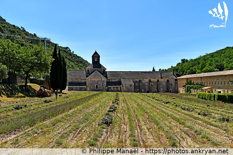 Abbaye Notre-Dame de Sénanque, Gordes (Massif des Ocres du Luberon / Trekking / France / Vaucluse - FR-84) © Philippe Manaël
