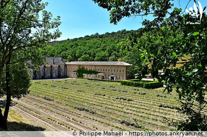 Abbaye de Sénanque, Gordes (Massif des Ocres du Luberon / Trekking / France / Vaucluse - FR-84) © Philippe Manaël
