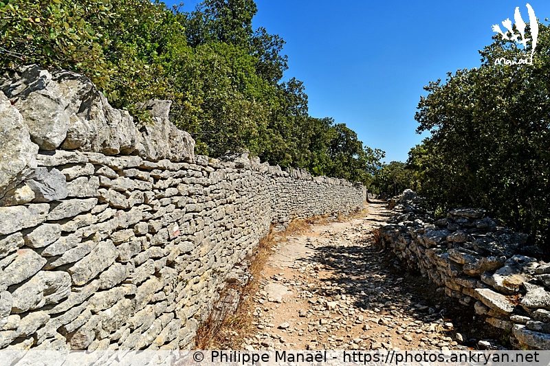 Mur de pierres sèches, Gordes (Massif des Ocres du Luberon / Trekking / France / Vaucluse - FR-84) © Philippe Manaël