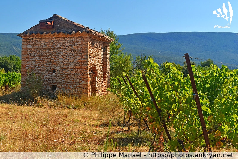 Cabanon dans les vignes, Villars (Massif des Ocres du Luberon / Trekking / France / Vaucluse - FR-84) © Philippe Manaël