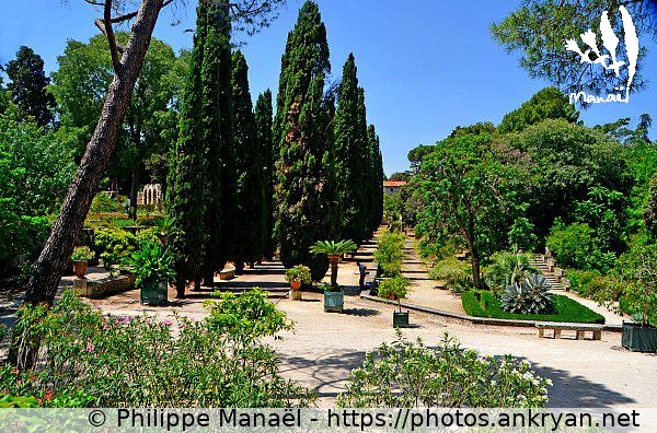 Jardin des Plantes (Montpellier / Ville / France / Hérault - FR-34) © Philippe Manaël