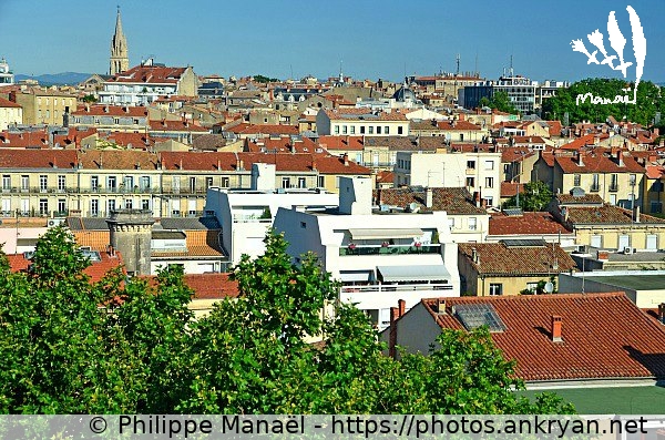 Au-dessus des toits : centre historique (Montpellier / Ville / France / Hérault - FR-34) © Philippe Manaël