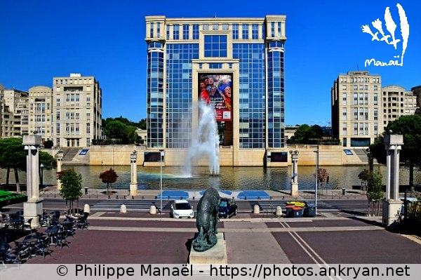 Avenue du Pirée (Montpellier / Ville / France / Hérault - FR-34) © Philippe Manaël
