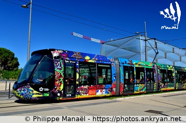 Ligne 3 du tramway, bassin Jacques-Coeur (Montpellier / Ville / France / Hérault - FR-34) © Philippe Manaël