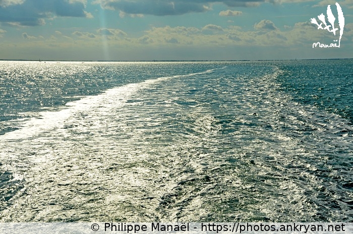 Sillage - La Maline (Phases finales des régates rochelaises / Sortie en mer / France) © Philippe Manaël