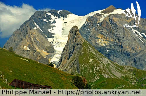 Grande Casse et Aiguille de la Vanoise (Pralognan-la-Vanoise / Ville / France / Savoie - FR-73) © Philippe Manaël