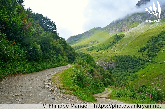 Sentier alpage Montaimont (Savoie : Pralognan, Les Prioux / Balade / France / Savoie - FR-73) © Philippe Manaël