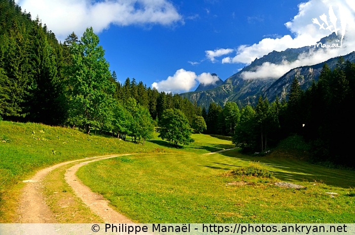 Sentier du plateau de Cholière (Savoie : Pralognan, Les Prioux / Balade / France / Savoie - FR-73) © Philippe Manaël