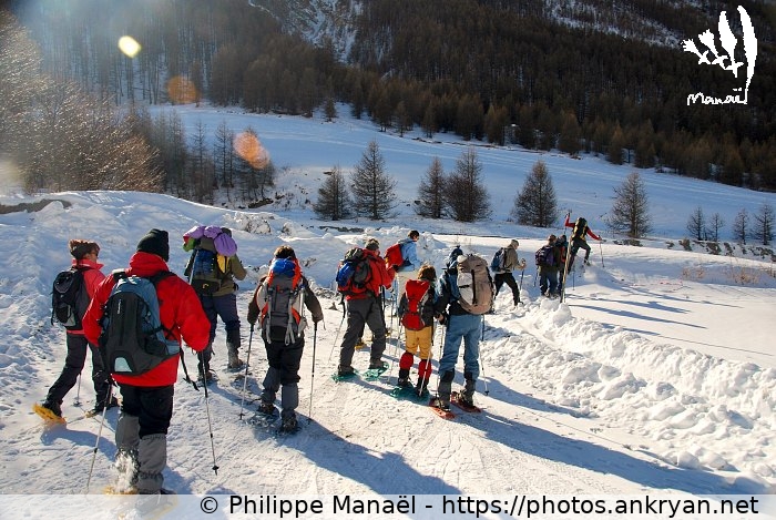 Descente vers les bois (Queyras, nouvel an à Molines / Trekking / France / Hautes-Alpes - FR-05) © Philippe Manaël