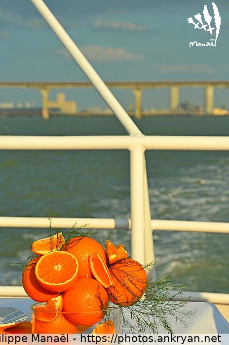 Bouquet d'oranges - L'Espérance 1 (Remise des prix PULPE 2013 / Sortie en mer / France) © Philippe Manaël
