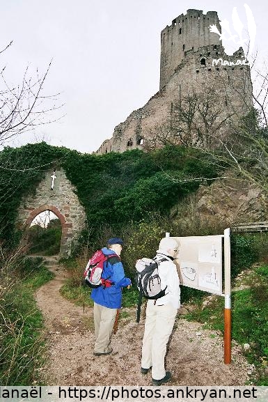 Entrée du château de l'Ortenbourg (Alsace Médiévale : Réveillon de l'an / Trekking / France / Alsace - FR-67) © Philippe Manaël