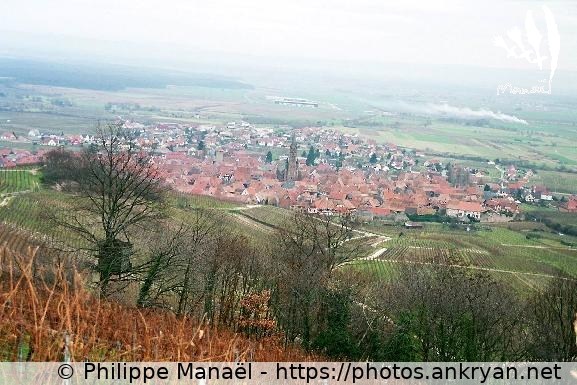 Dambach-la-Ville - 67 (Alsace Médiévale : Réveillon de l'an / Trekking / France / Alsace - FR-67) © Philippe Manaël