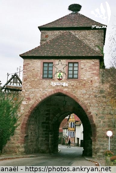 Dambach-la-Ville : tour-porte de Blienschwiller (Alsace Médiévale : Réveillon de l'an / Trekking / France / Alsace - FR-67) © Philippe Manaël