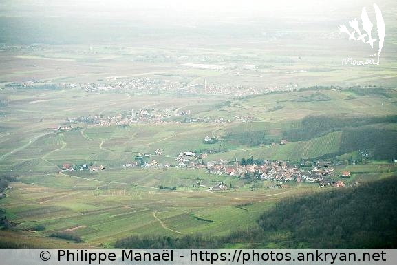 Les environs de Châtenois (Alsace Médiévale : Réveillon de l'an / Trekking / France / Alsace - FR-67) © Philippe Manaël