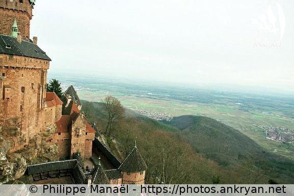 Depuis le Haut-Koenigsbourg, 2 (Alsace Médiévale : Réveillon de l'an / Trekking / France / Alsace - FR-67) © Philippe Manaël