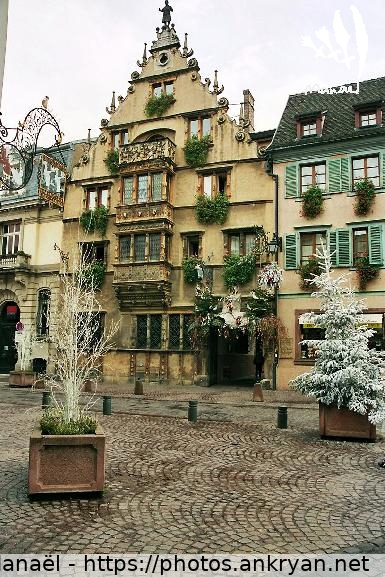 Maison des Têtes, Colmar (Alsace Médiévale : Réveillon de l'an / Trekking / France / Alsace - FR-68) © Philippe Manaël