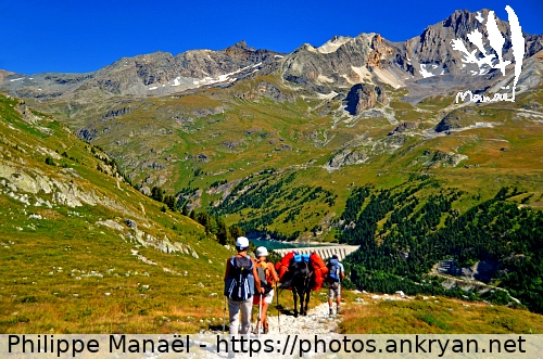 Col du Barbier (Tour des Glaciers de la Vanoise / Trekking / France / Savoie - FR-73) © Philippe Manaël