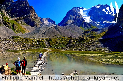 Lac des Vaches et la Grande Casse (Tour des Glaciers de la Vanoise / Trekking / France / Savoie - FR-73) © Philippe Manaël