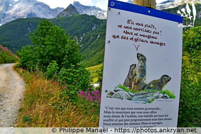Pancarte sur les marmottes (Traversée de la Vanoise / Trekking / France / Savoie - FR-73) © Philippe Manaël