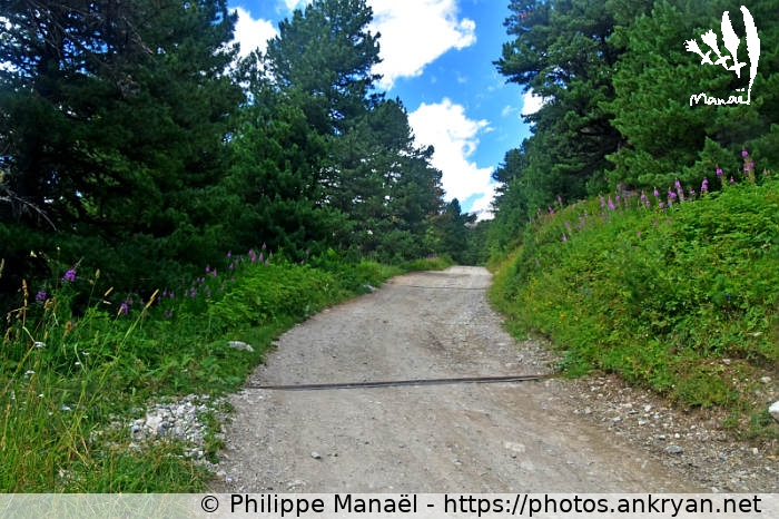 Chemin pour le Plan d'Amont (Traversée de la Vanoise / Trekking / France / Savoie - FR-73) © Philippe Manaël