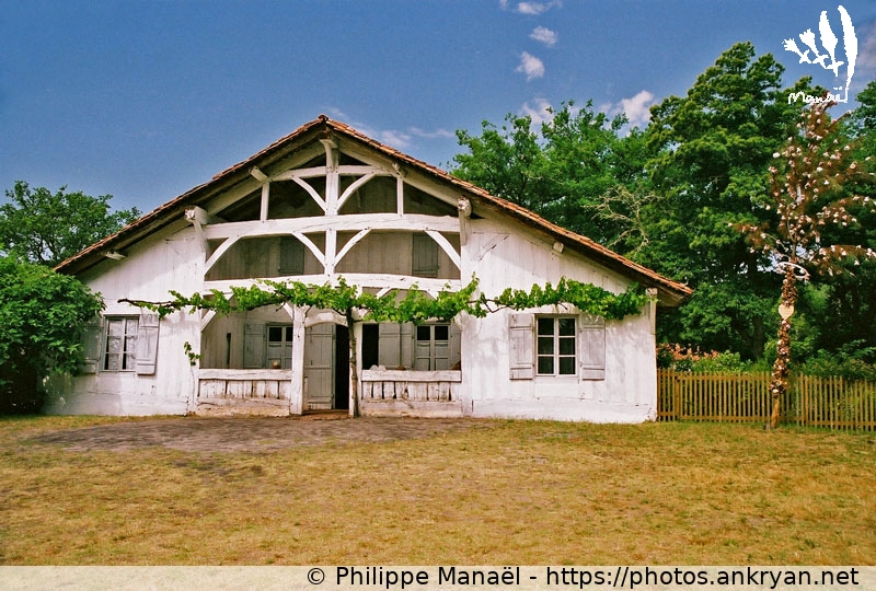 Maison du maître, Marquèze (Traversée des Landes / Trekking / France / Landes - FR-40) © Philippe Manaël