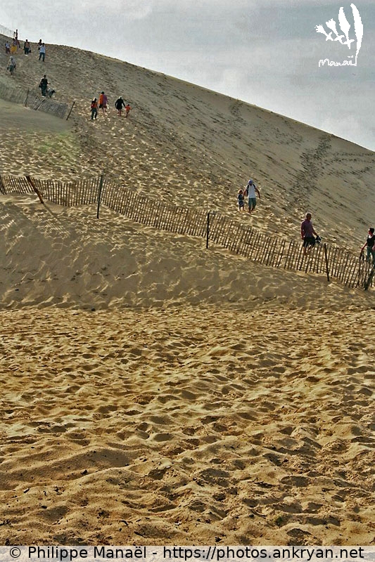 Dune du Pilat (Traversée des Landes / Trekking / France / Gironde - FR-33) © Philippe Manaël