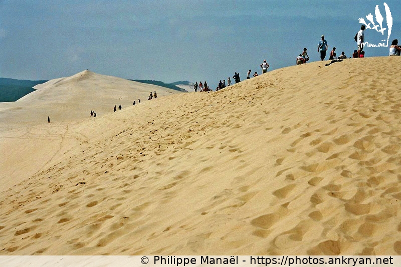 Ascension de la Dune du Pilat (Traversée des Landes / Trekking / France / Gironde - FR-33) © Philippe Manaël