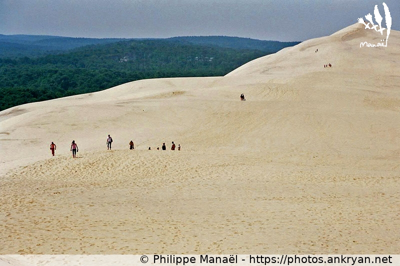 Sur la Dune du Pilat (Traversée des Landes / Trekking / France / Gironde - FR-33) © Philippe Manaël