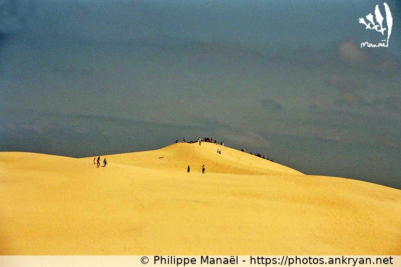 Des fourmis sur la Dune du Pilat (Traversée des Landes / Trekking / France / Gironde - FR-33) © Philippe Manaël