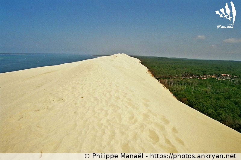 Dune du Pilat : trio gagnant (Traversée des Landes / Trekking / France / Gironde - FR-33) © Philippe Manaël