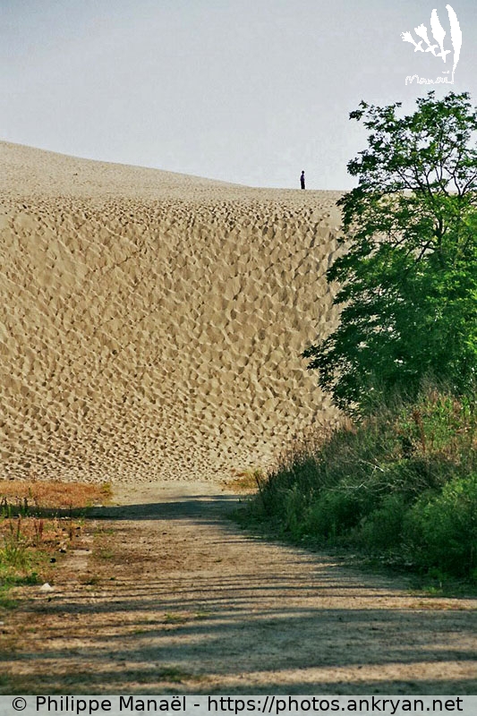 Dune du Pilat, chemin ensablé (Traversée des Landes / Trekking / France / Gironde - FR-33) © Philippe Manaël