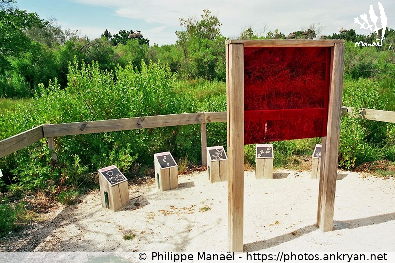 Parc du Teich : Sentier du rouge-gorge, chemin des pas perdu (Traversée des Landes / Trekking / France / Gironde - FR-33) © Philippe Manaël