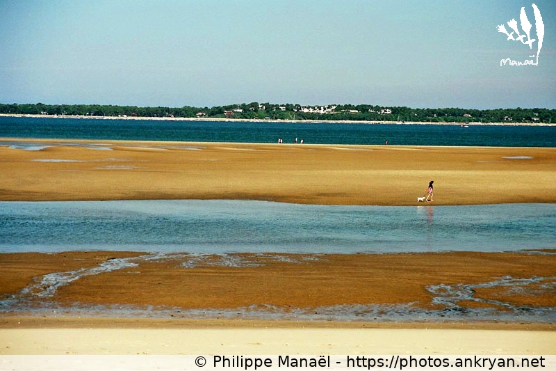 Bassin d'Arcachon, petit matin (Traversée des Landes / Trekking / France / Gironde - FR-33) © Philippe Manaël