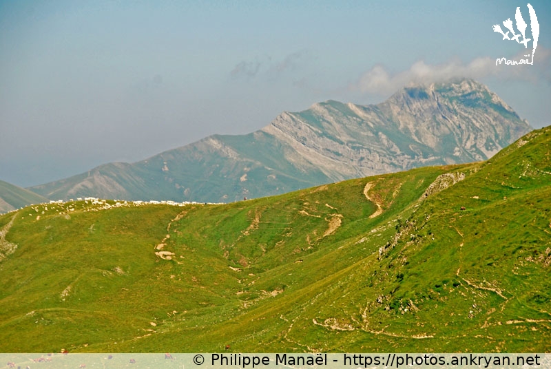Alpage montagneux (Traversée des Pyrénées par la HRP / Trekking / France) © Philippe Manaël
