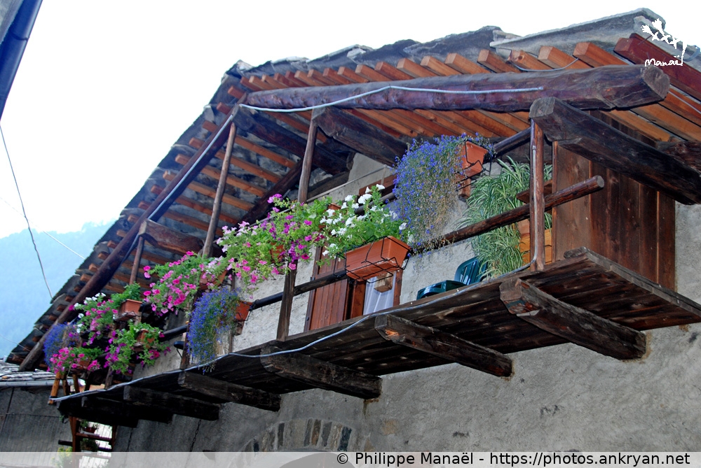 Balcon fleuri, Chianale (Hautes vallées piémontaises / Italie / Piémont - IT) © Philippe Manaël