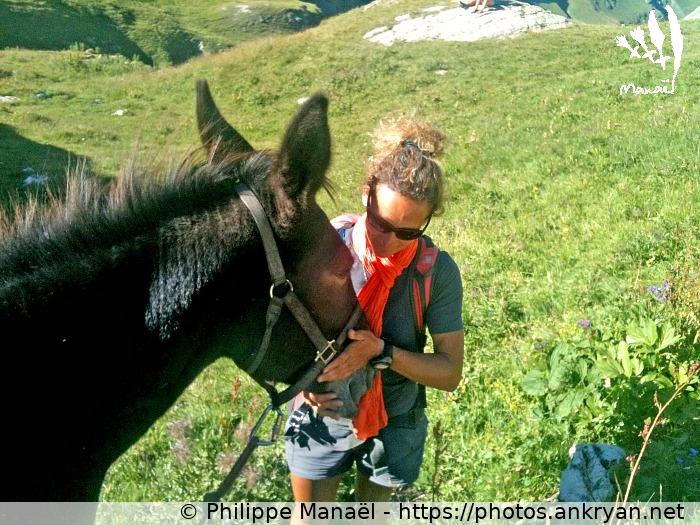 Danièle et sa mule Coco (Traversée du Grand Paradis / Italie / Val de Rhêmes - IT) © Philippe Manaël