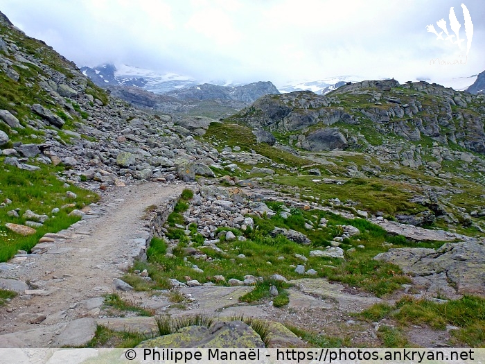 Sentier de randonnée, alpage du ruitor (Traversée du Grand Paradis / Italie / Vallée d'Aoste - IT) © Philippe Manaël